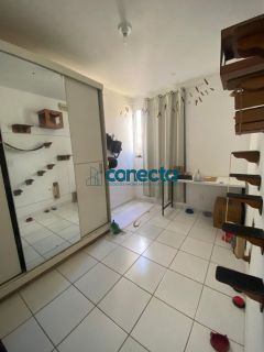 Bosque das Palmeiras