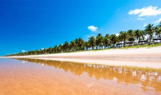 Natus Reserva Imbassai