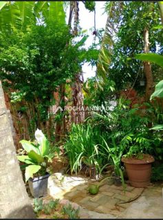 Casa 3 quartos com Amplo Pomar Produzindo e Excelente Localização