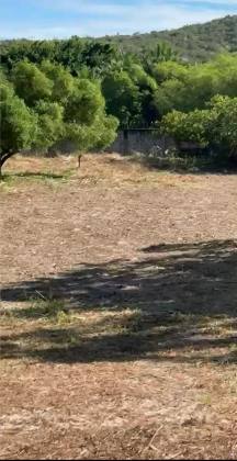 Excelente lote de 1.227m² - Condomínio DUNAS DE BUSCA VIDA