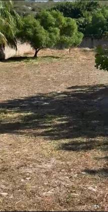 Excelente lote de 1.227m² - Condomínio DUNAS DE BUSCA VIDA