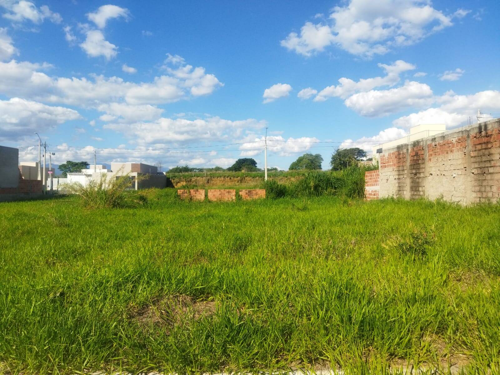 Terreno