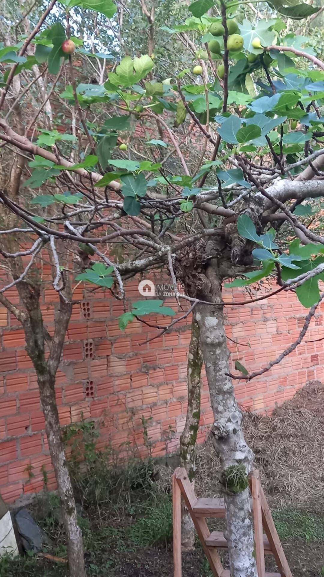 Ótimo Terreno no bairro Boa Vista do Sul