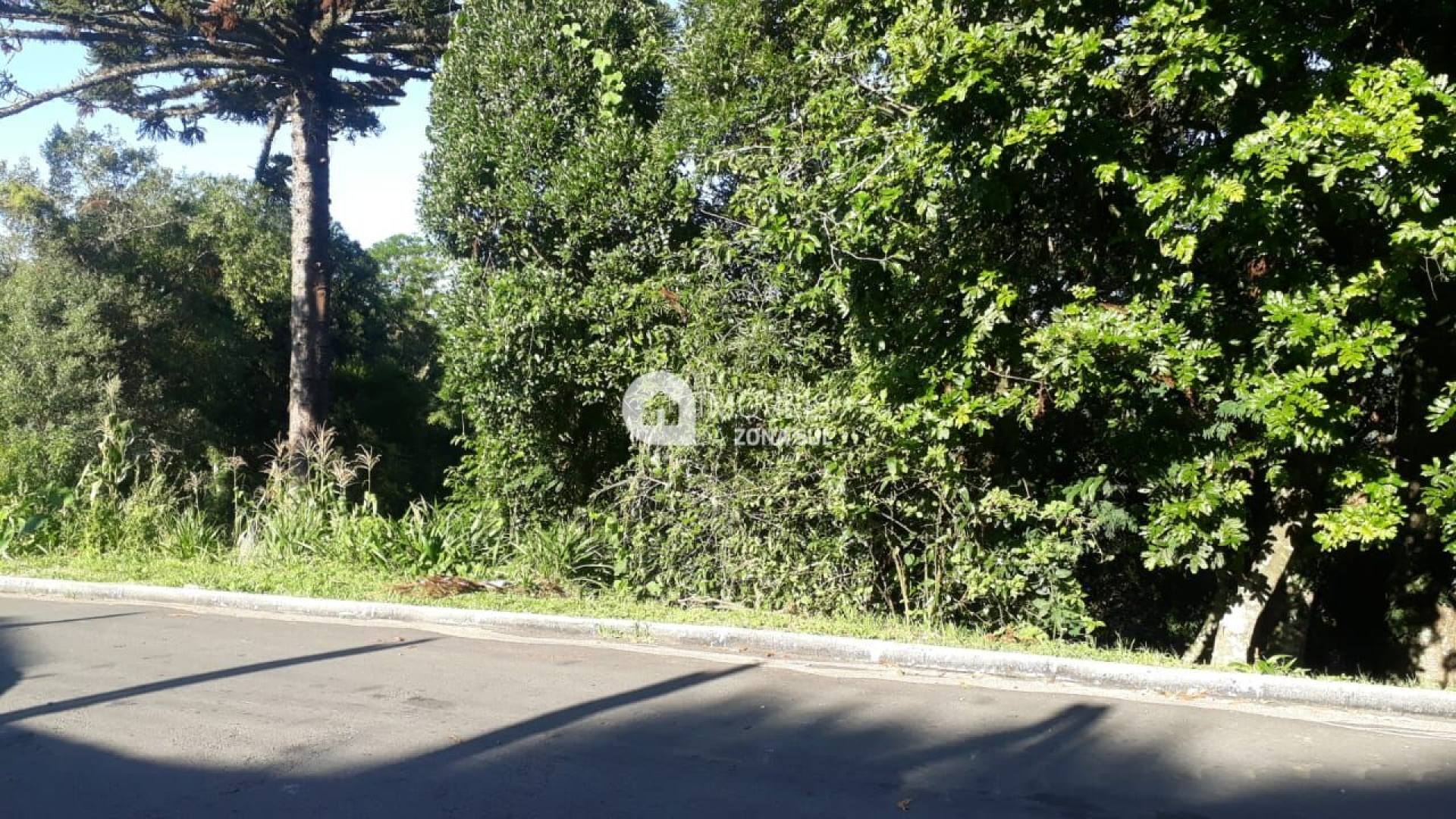 Terreno Diferenciado em Gramado/RS
