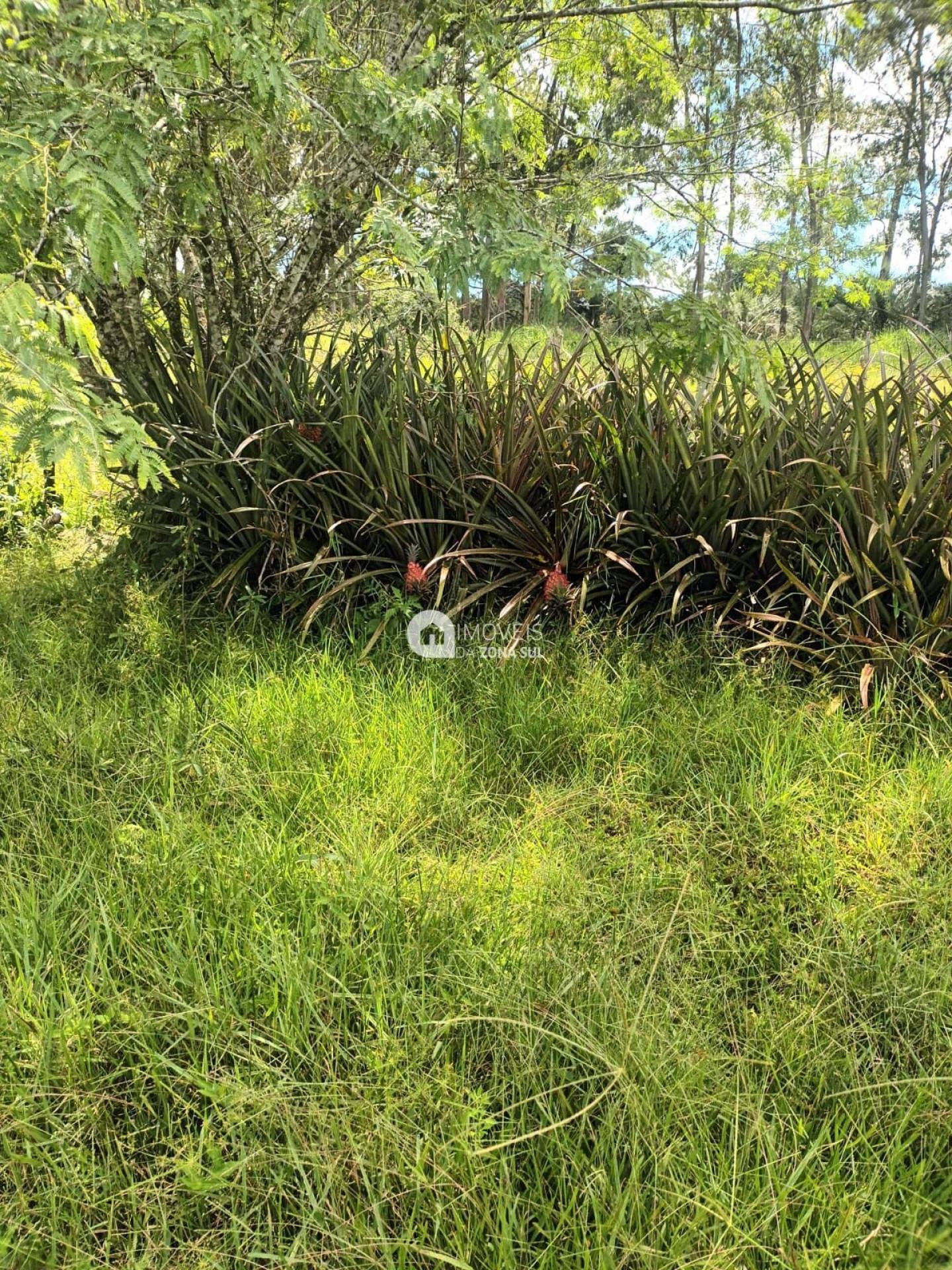 Sítio para Vender com 1 vaga de garagem com 2 quartos 1 banheiro no bairro Passo da Areia I (Passo da Areia) em Viamão/RS