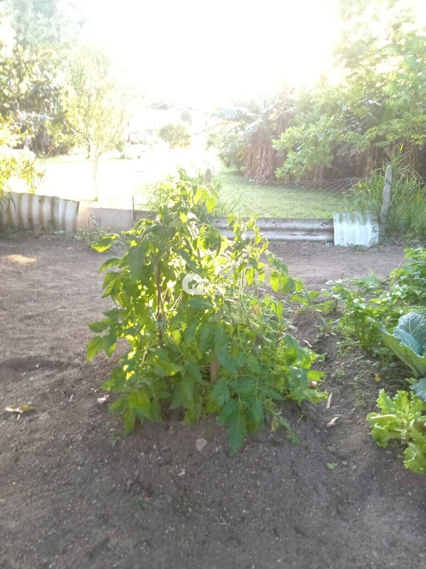 Casa para Vender com 2 vagas de garagem com 3 quartos 1 banheiro no bairro Lageado em Porto Alegre/RS