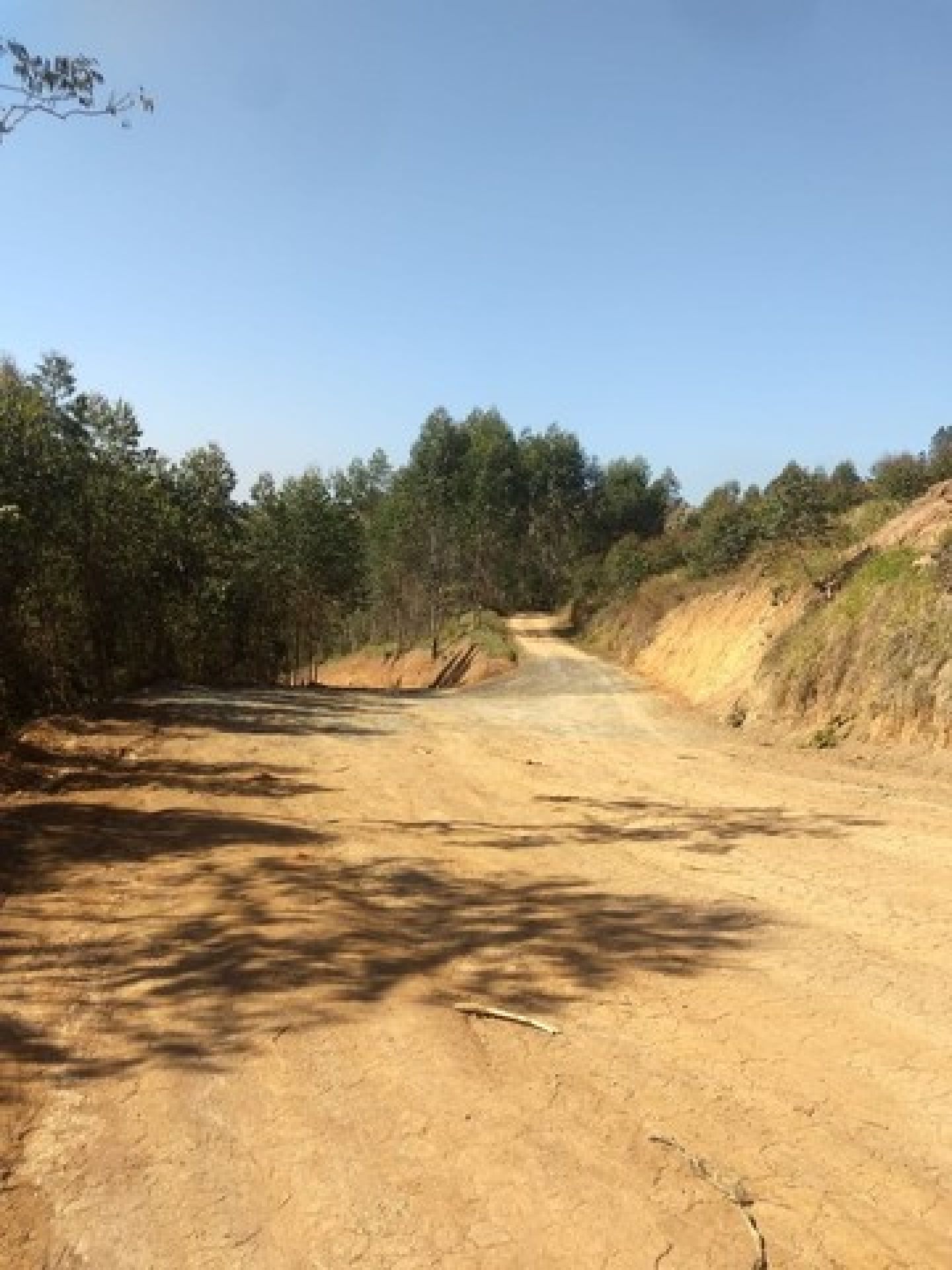 Terreno plano para vc construir sua chácara!