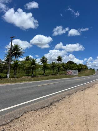 Granja Para Vender com 3.7ha toda beneficiada e estruturada