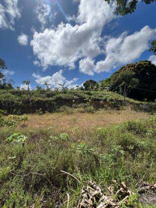 Granja Para Vender com 3.7ha toda beneficiada e estruturada