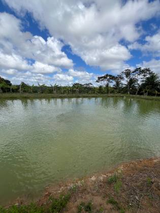 Granja Para Vender com 3.7ha toda beneficiada e estruturada