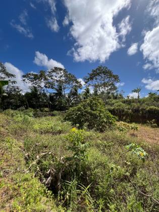 Granja Para Vender com 3.7ha toda beneficiada e estruturada