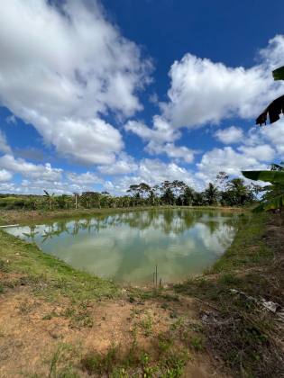Granja Para Vender com 3.7ha toda beneficiada e estruturada