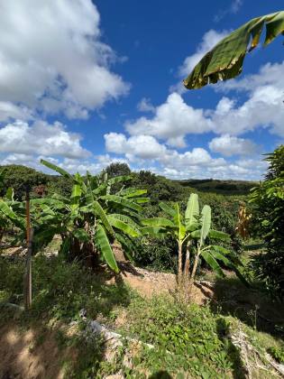 Granja Para Vender com 3.7ha toda beneficiada e estruturada