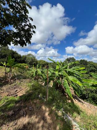 Granja Para Vender com 3.7ha toda beneficiada e estruturada