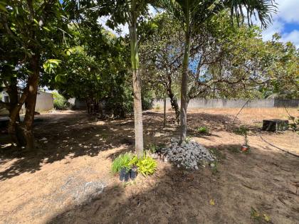 Granja Para Vender com 3.7ha toda beneficiada e estruturada