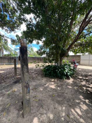 Granja Para Vender com 3.7ha toda beneficiada e estruturada