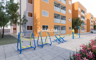 SUNFLOWER BODOCONGÓ