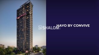 HAYO by Convive
