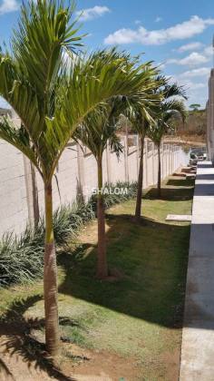 Apartamento para Alugar com 2 quartos no Condomínio Oásis da Serra - Outono, Bairro: Jardim Tavares em Campina Grande - PB