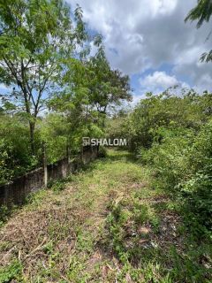 Sítio para Vender em Lagoa Seca - PB