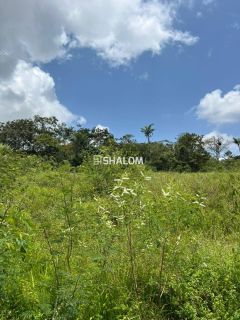 Sítio para Vender em Lagoa Seca - PB