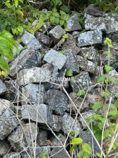 Sítio para Vender em Lagoa Seca - PB