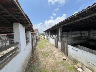 Sítio para Vender em Lagoa Seca - PB