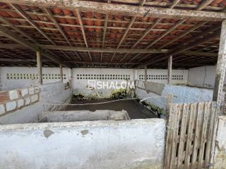 Sítio para Vender em Lagoa Seca - PB