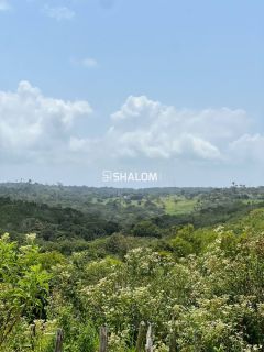 Sítio para Vender em Lagoa Seca - PB