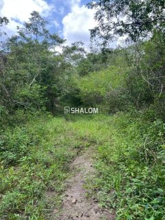 Sítio para Vender em Lagoa Seca - PB