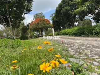 Sítio para Vender em Lagoa Seca - PB