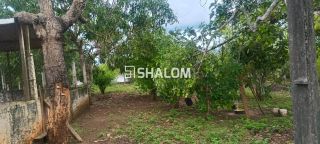 Sítio para Vender em Massaranduba - PB