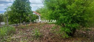 Sítio para Vender em Massaranduba - PB