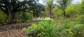 Sítio para Vender em Massaranduba - PB