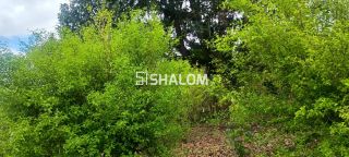 Sítio para Vender em Massaranduba - PB