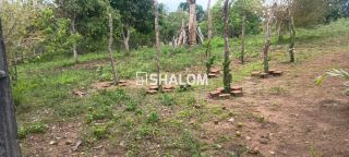 Sítio para Vender em Massaranduba - PB