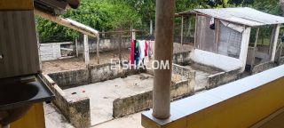 Sítio para Vender em Massaranduba - PB