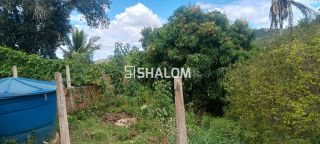 Sítio para Vender em Massaranduba - PB