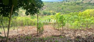 Sítio para Vender em Massaranduba - PB