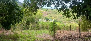 Sítio para Vender em Massaranduba - PB