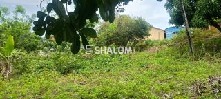 Sítio para Vender em Massaranduba - PB