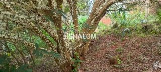 Sítio para Vender em Massaranduba - PB