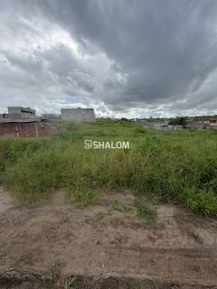 Lote para Vender no Loteamento Maria da Luz em Massaranduba - PB