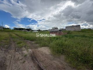 Lote para Vender no Loteamento Maria da Luz em Massaranduba - PB