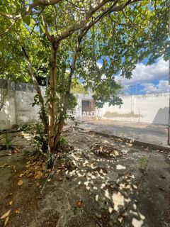 Casa para Aluguel Comercial com 3 quartos no Bairro Catolé em Campina Grande - PB