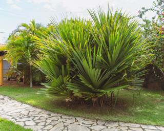 Casa na Praia de Tabatinga - Conde/PB