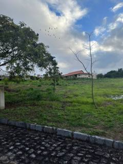 LOTE NO COND MORADA VERDE