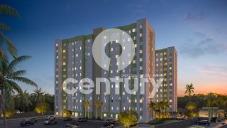 Estrela do Mar - Mais Viver