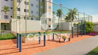 Estrela do Mar - Mais Viver