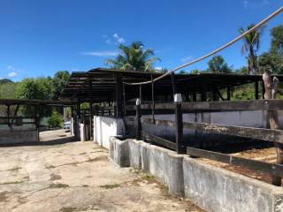 Chácara próximo ao Fórum em São Cristóvão